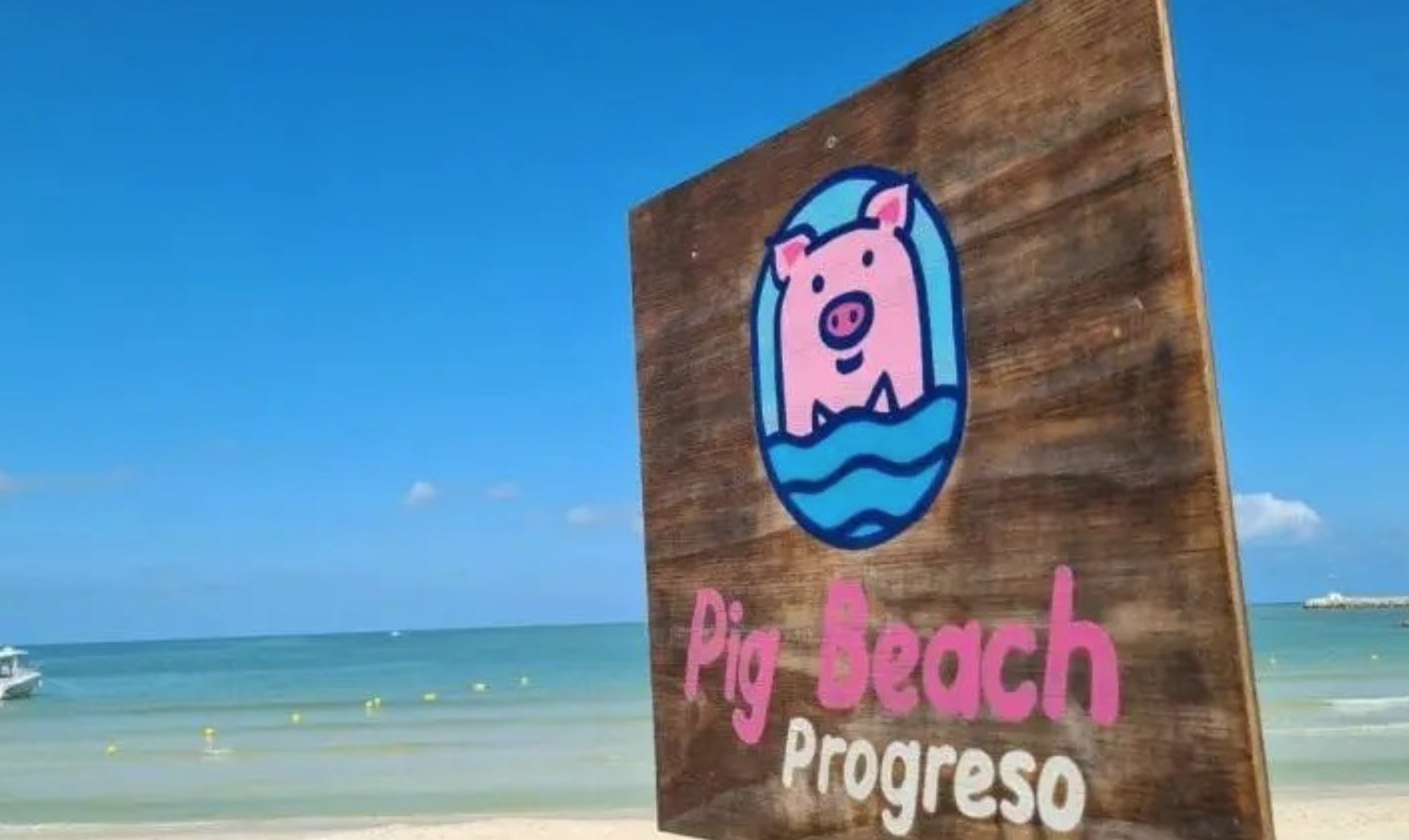 “Pig Beach”, playa turística de Yucatán en abandono